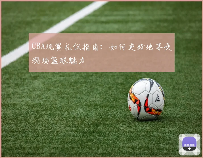 CBA观赛礼仪指南:如何更好地享受现场篮球魅力